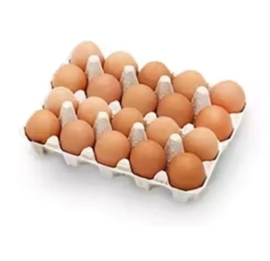BEST SELLER