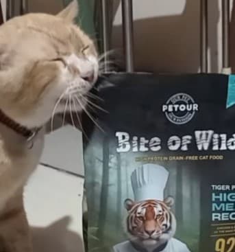 Bite of Wild Indonesia