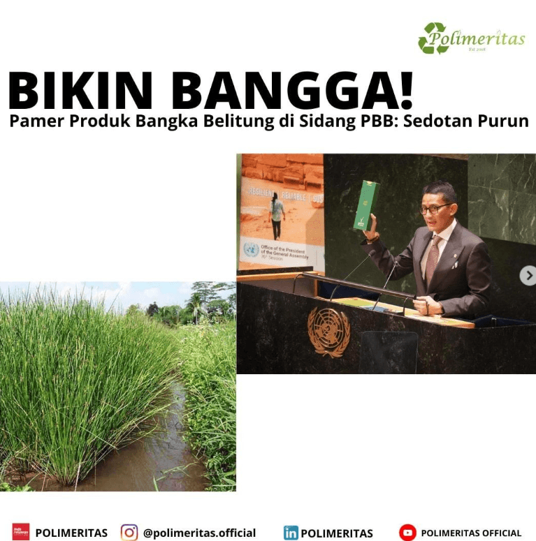 Sedotan Purun Bangka Belitung Mendunia