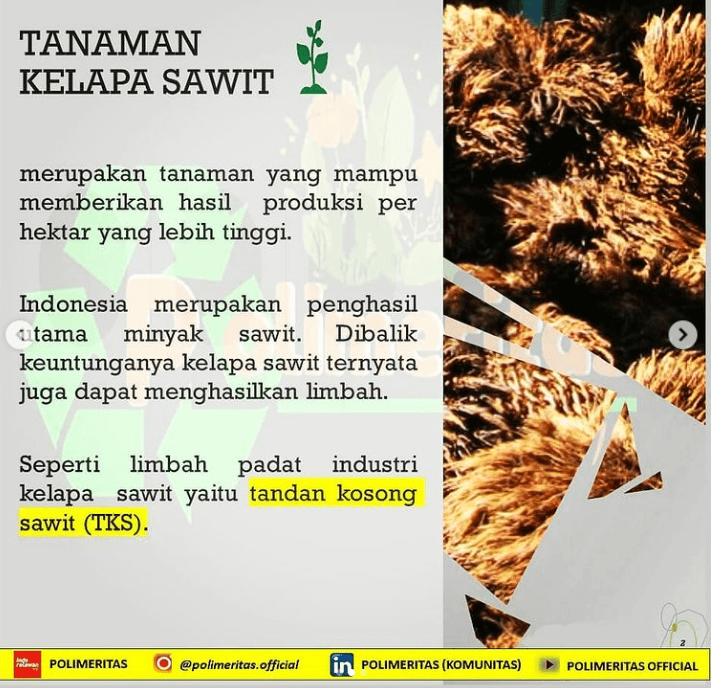 Nanokristal selulosa dari Tandan Kosong Sawit (TKS)