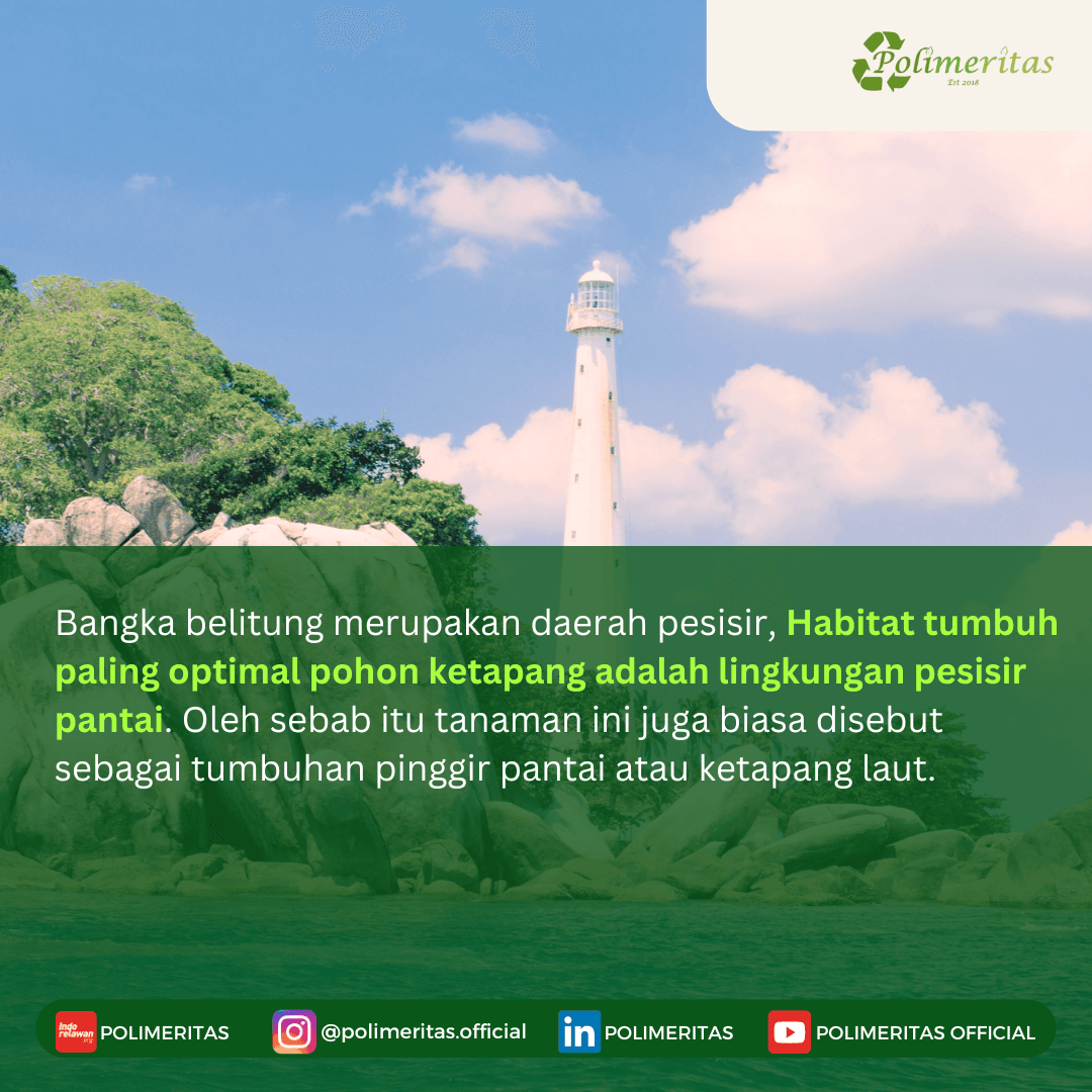 PENGARUH PEMBERIAN DAUN KETAPANG (Terminalia catappa) TERHADAP PERTUMBUHAN DAN TINGKAT KELANGSUNGAN HIDUP BENIH IKAN NILA (Oreochromis niloticus)